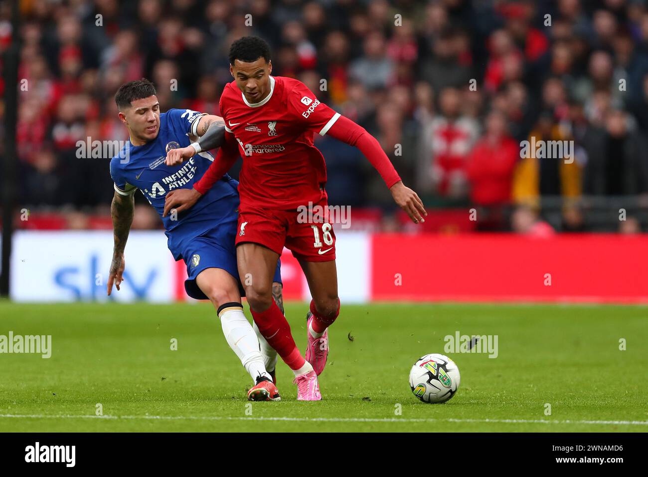 Enzo Fernandez of Chelsea and Cody Gakpo of Liverpool - Chelsea v Liverpool, Carabao Cup Final, Wembley Stadium, London, UK - 25th February 2024 Editorial Use Only - DataCo restrictions apply Stock Photo