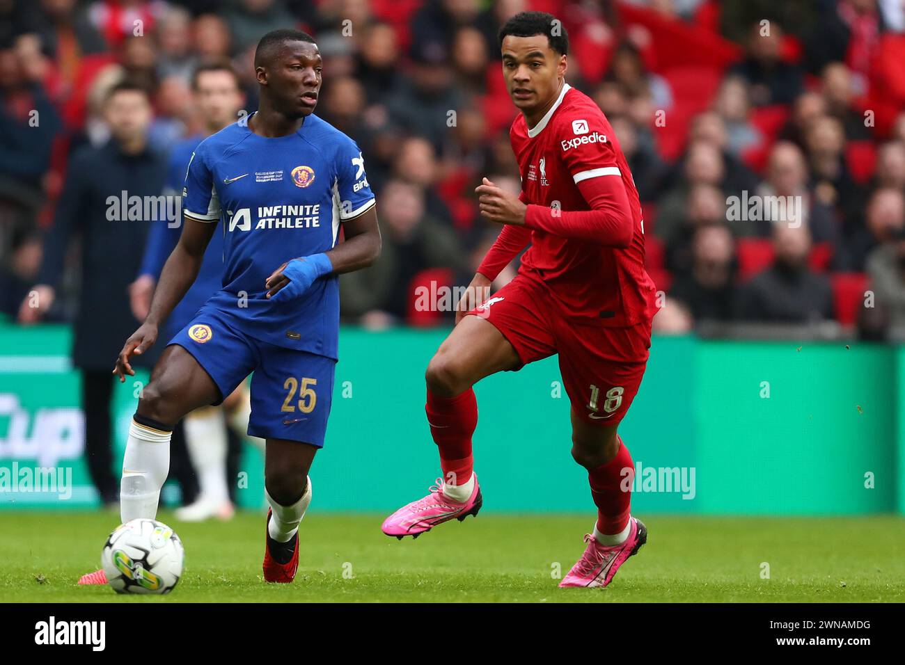 Moises Caicedo of Chelsea and Cody Gakpo of Liverpool - Chelsea v Liverpool, Carabao Cup Final, Wembley Stadium, London, UK - 25th February 2024 Editorial Use Only - DataCo restrictions apply Stock Photo