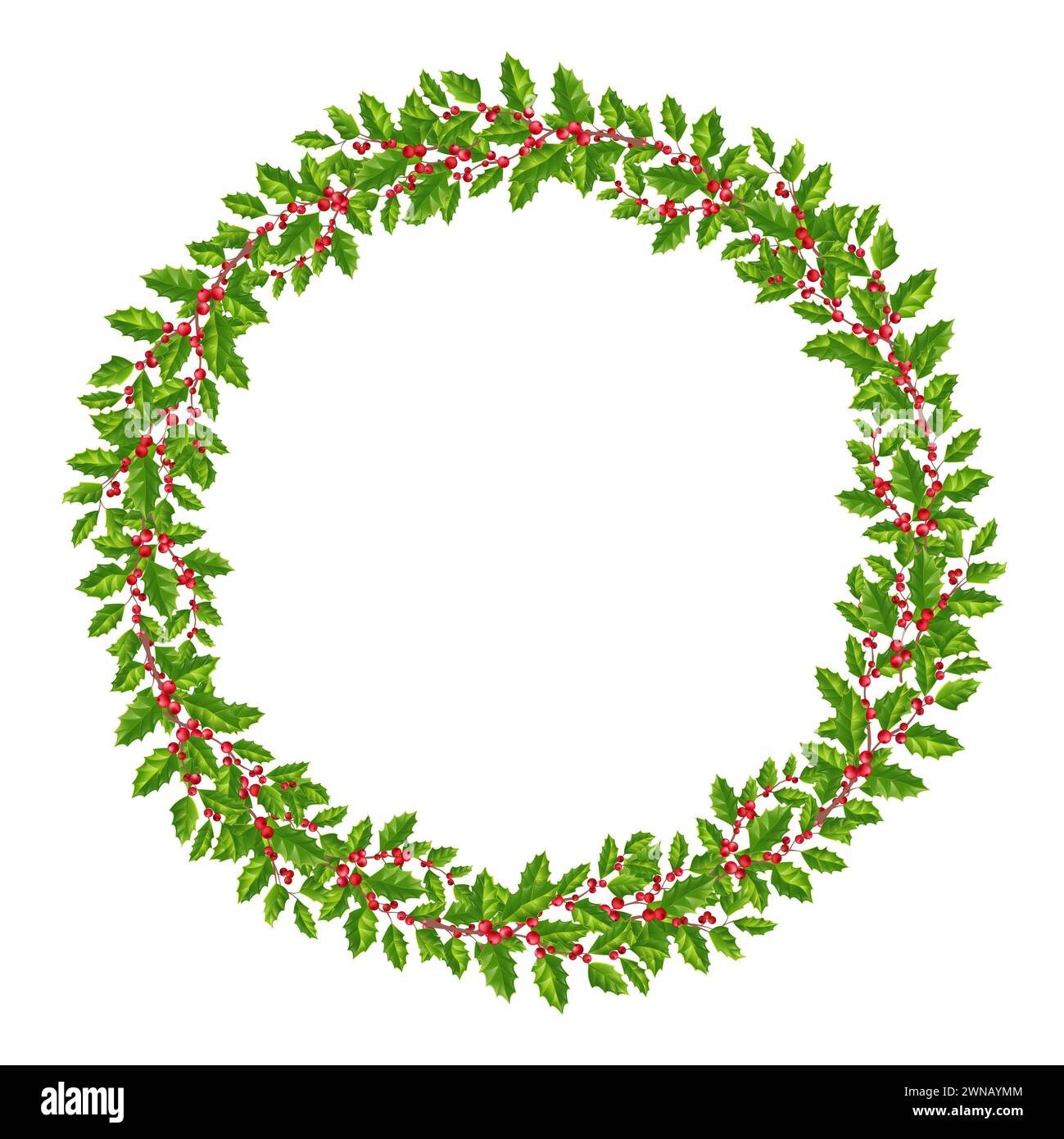 Christmas wreath with holly , green leaves and red berries, and place for text. greeting cards and invitations isolated Stock Photo