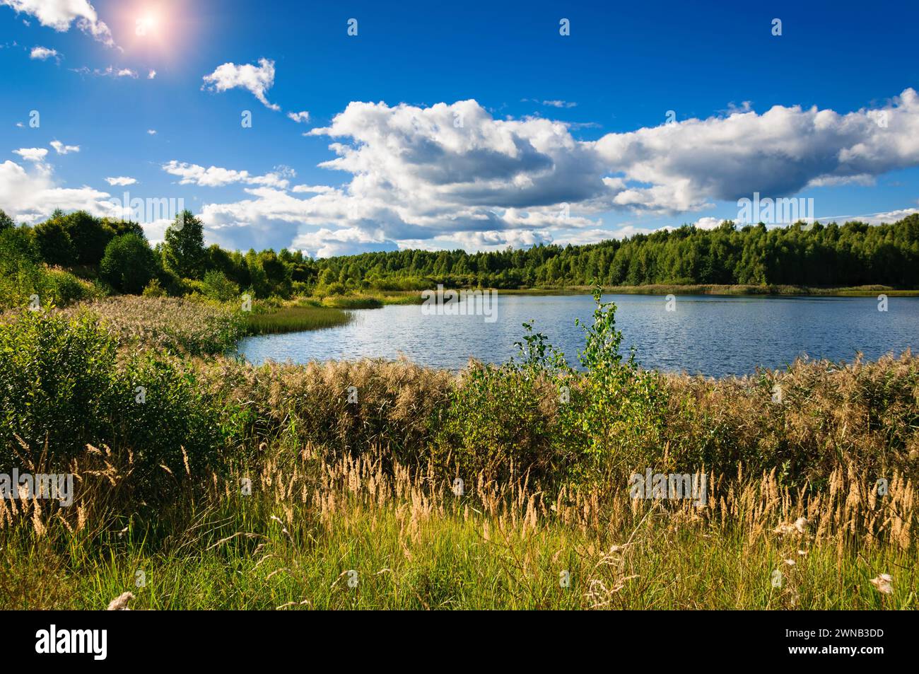 Beautiful summer landscape in russia hi-res stock photography and ...