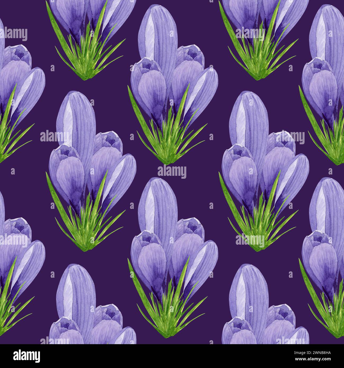 Watercolor spring crocuses seamless pattern, spring flower digital ...