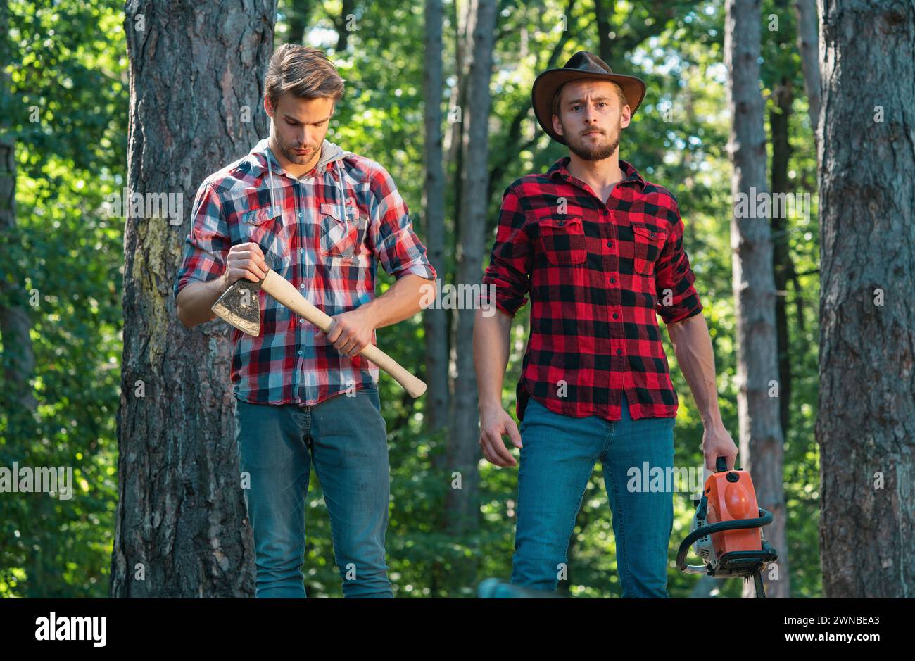 Two men cutting tree in forest hi-res stock photography and images - Alamy