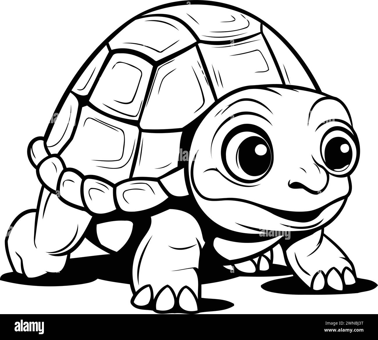 Cartoon Turtle Drawing - Drawing Skill