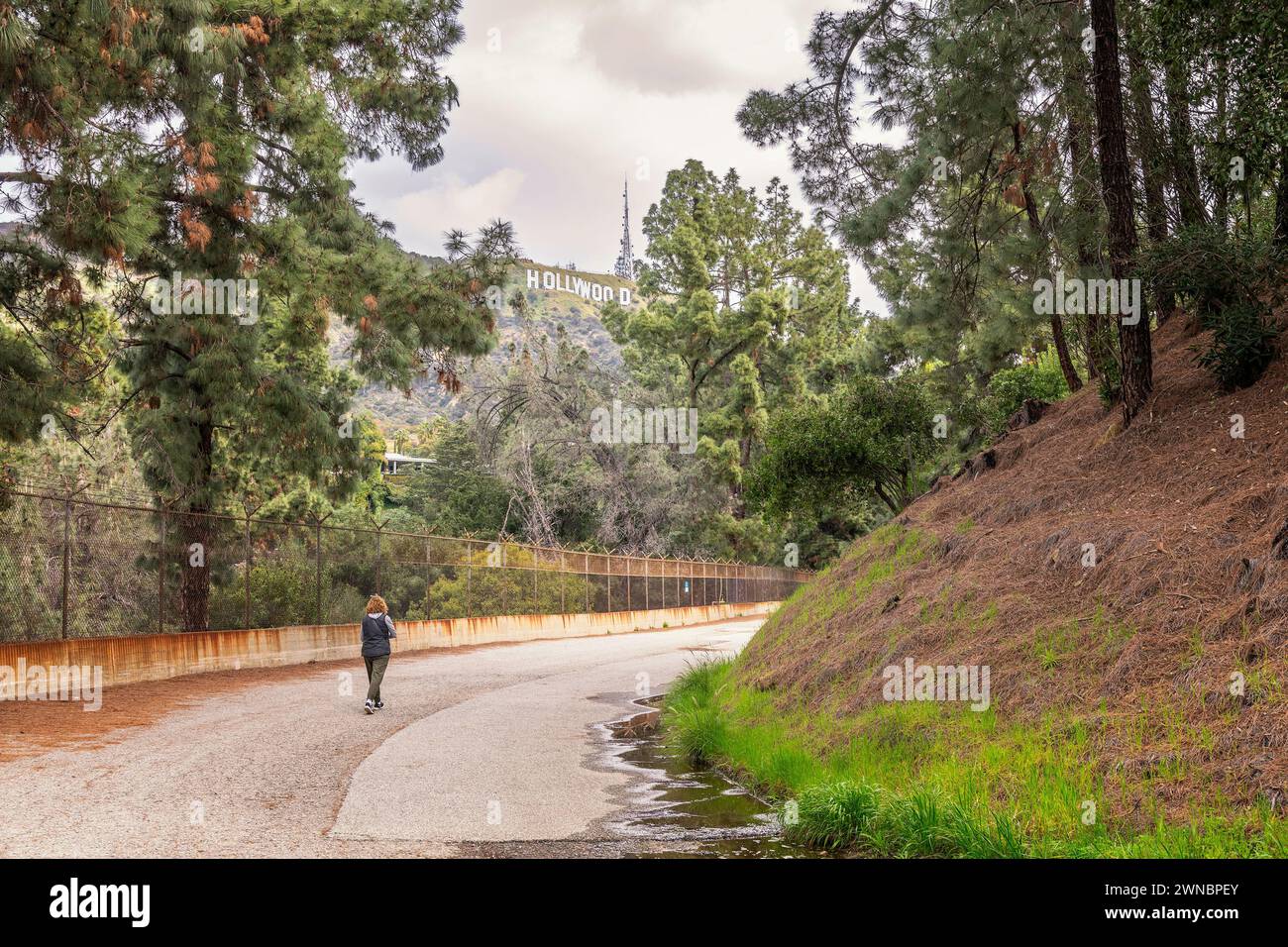 Los Angeles, CA, USA – March 1, 2024: The world famous Hollywood sign can be seen from a fire road at the Hollywood Reservoir in Los Angeles, CA. Stock Photo