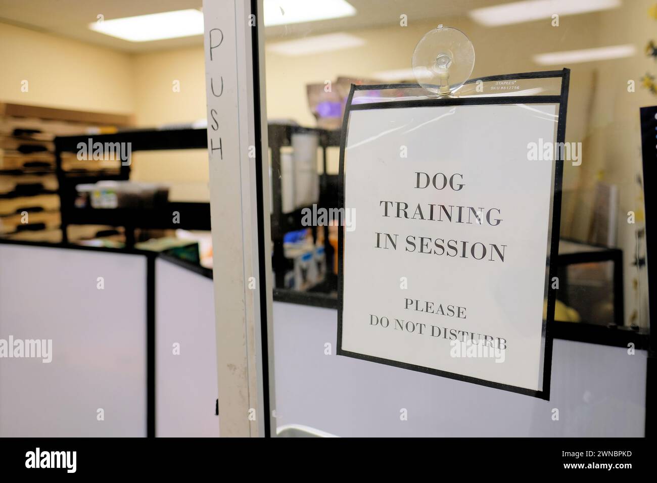 Sign on glass door alerting customers and visitors that there is a Dog Training in Session, Please Do Not Disturb; canine education in a pet store. Stock Photo