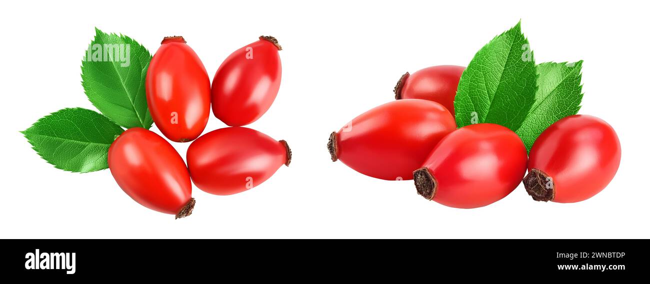 Rose hip isolated on a white background with full depth of field. Top ...