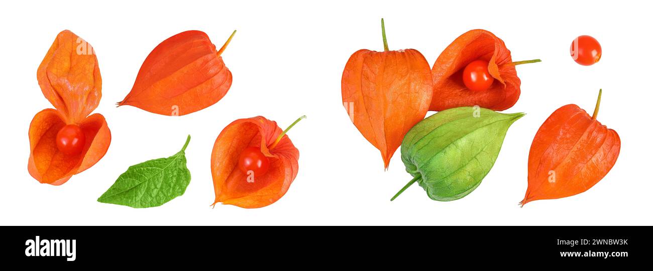 Cape gooseberry, physalis isolated on white background with full depth ...