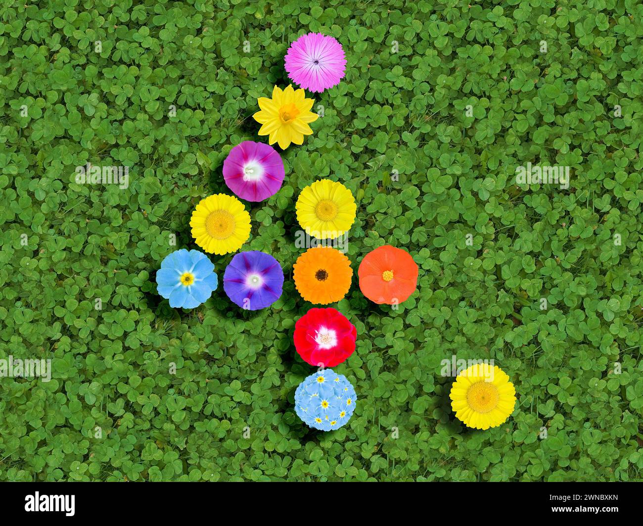 number written with colorful flowers on green clover background Stock Photo