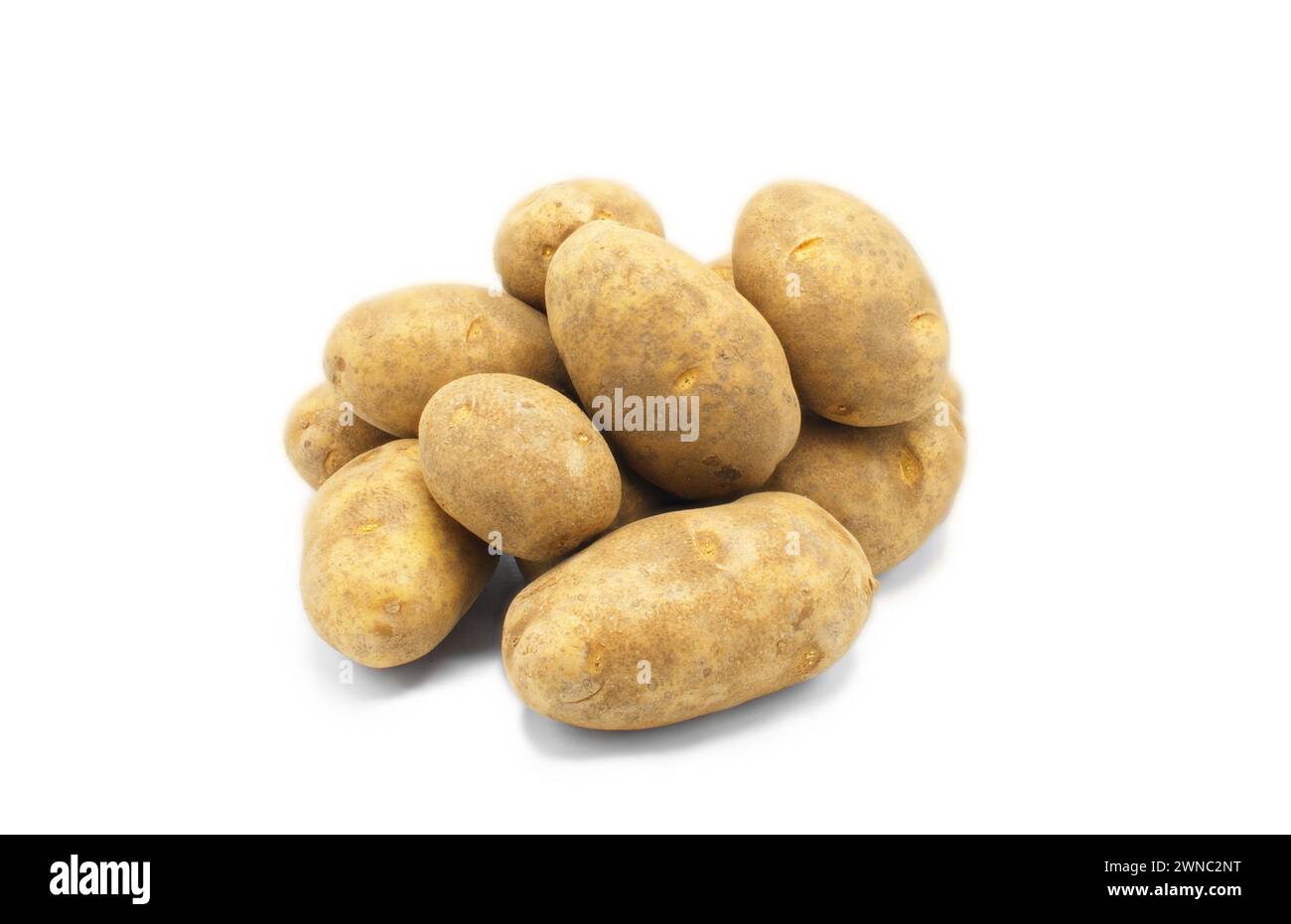A pile of whole russet Idaho potatoes potato tuber fresh from the