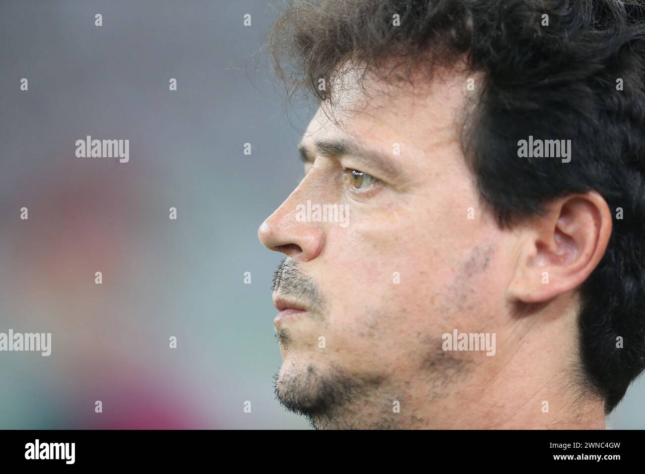 Fernando diniz fluminense 2024 hires stock photography and images Alamy