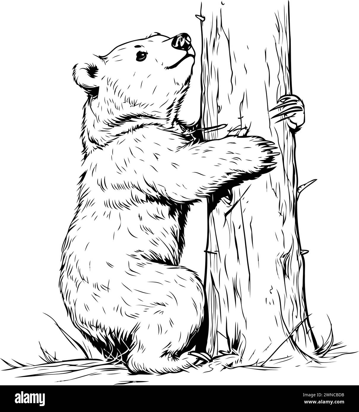 Polar bear standing on its hind legs. Vector illustration of a polar