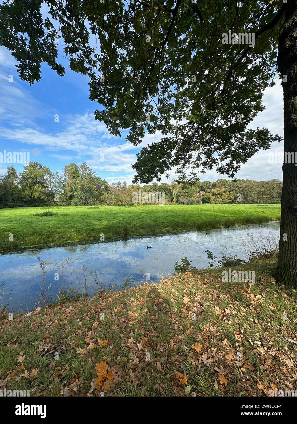 Beautiful water channel, green grass and trees in park Stock Photo