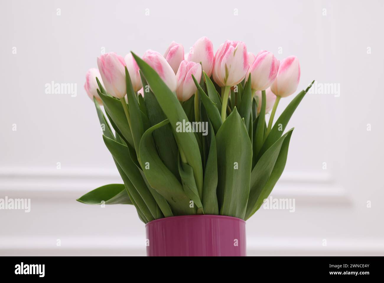 Beautiful bouquet of fresh pink tulips on white background Stock Photo ...