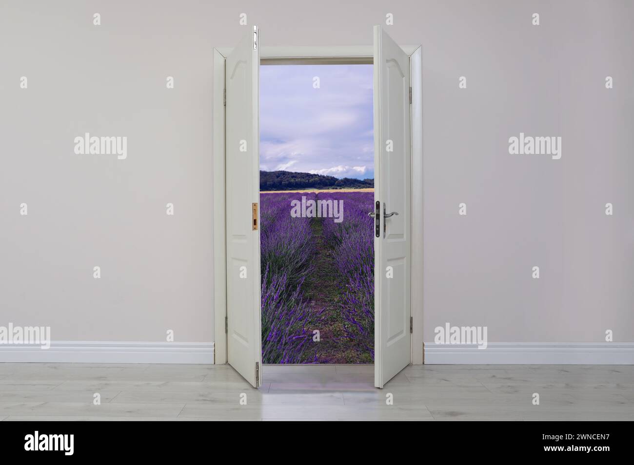 Open door in white wall inviting to visit lavender field Stock Photo
