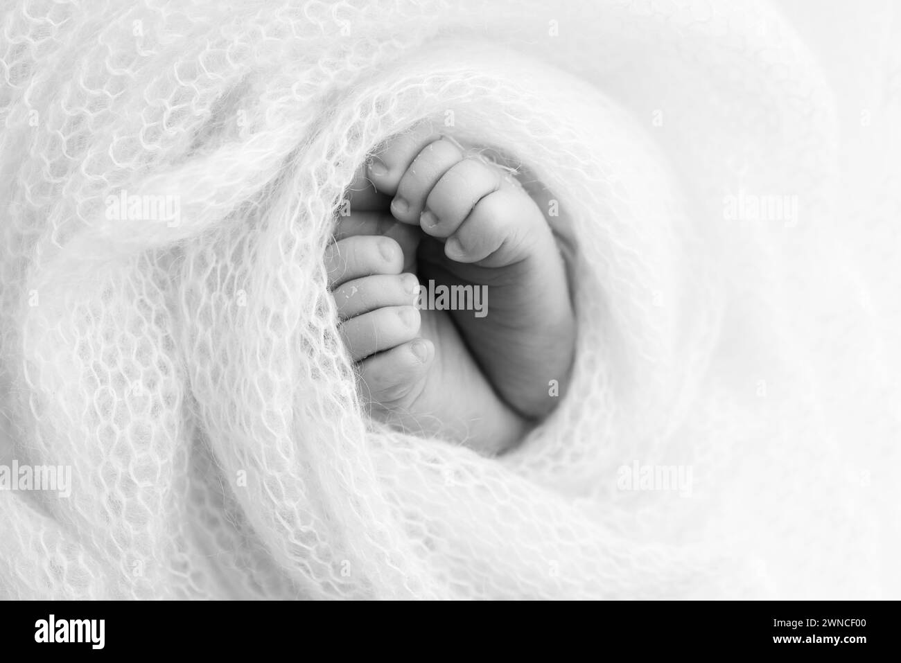 The tiny foot of a newborn baby. Soft feet of a new born in a wool