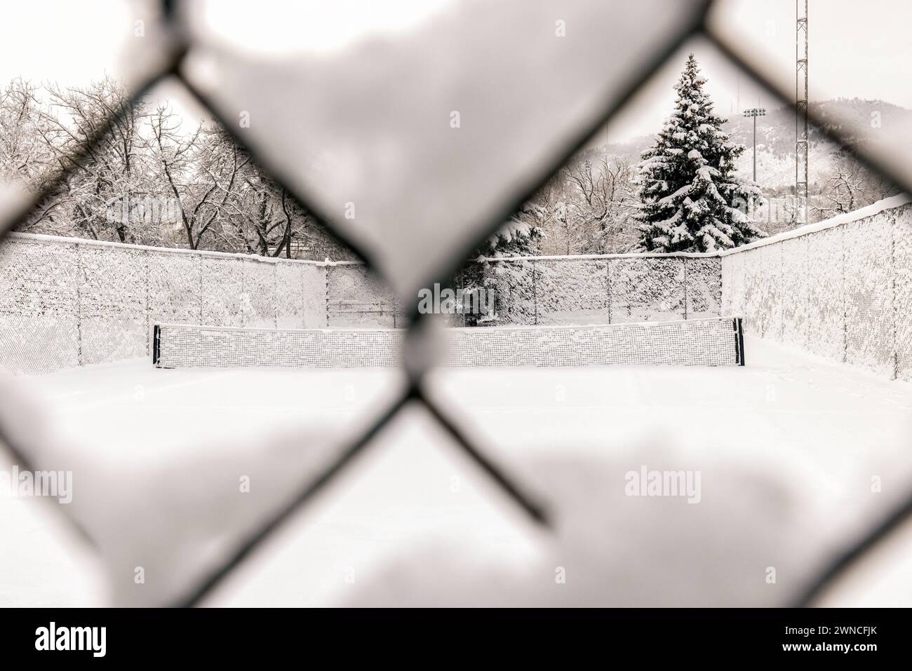 View of snow-covered tennis courts through fence. - Golden, Colorado, USA Stock Photo