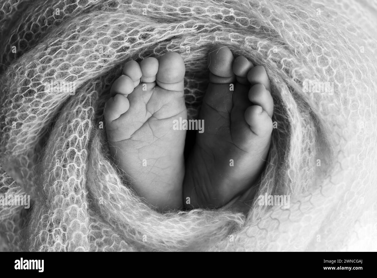 The tiny foot of a newborn baby. Soft feet of a new born in a wool