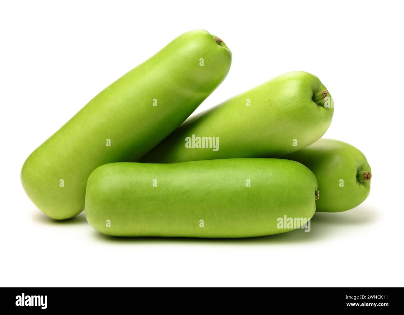 Winter melon on white background Stock Photo
