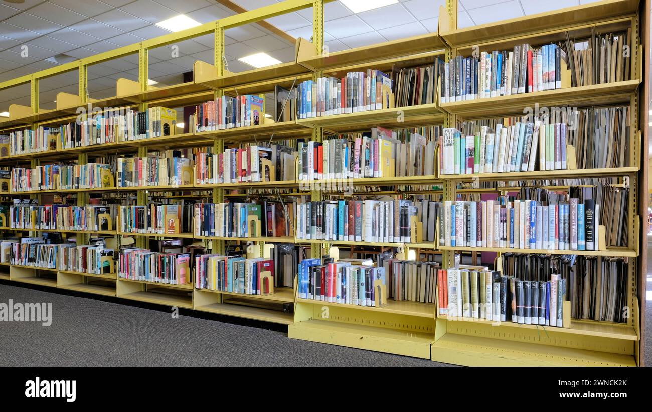 Yellow metal bookshelves at a public library; books on shelves for patrons to peruse and check out for reading at home or in the library. Stock Photo