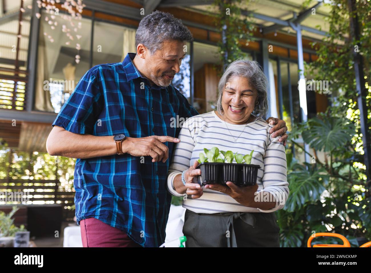 Senior biracial couple admires a tray of seedlings, sharing a joyful moment Stock Photo