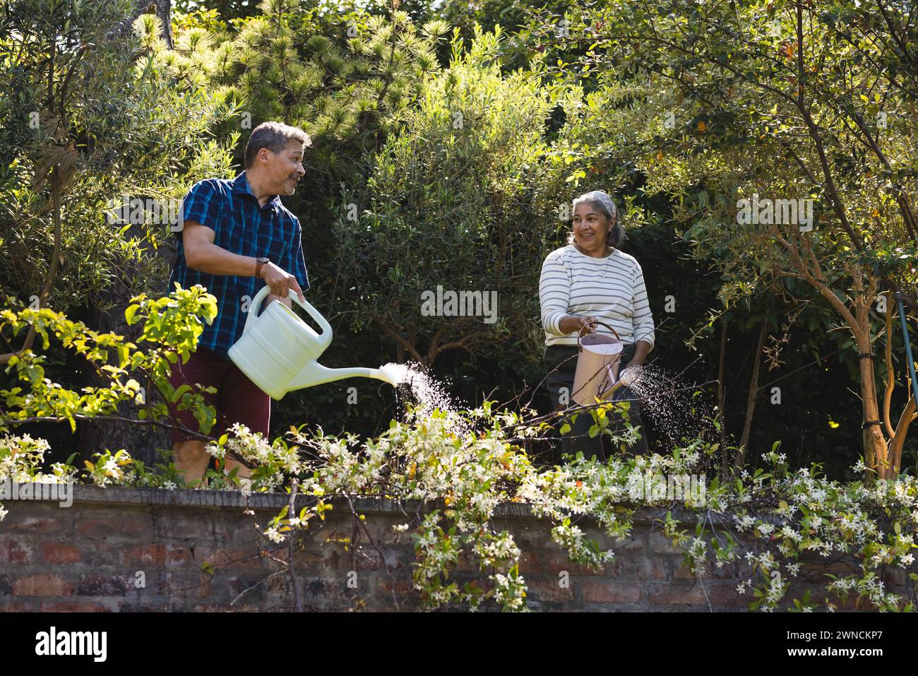 Senior biracial woman and man are tending to garden plants Stock Photo
