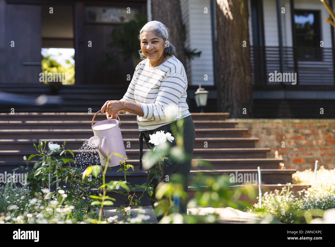 Senior biracial woman with gray hair is watering plants in a sunny garden Stock Photo