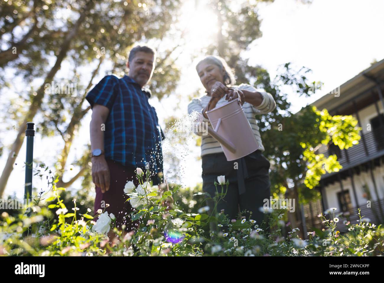 Senior biracial woman and man are tending to garden flowers Stock Photo