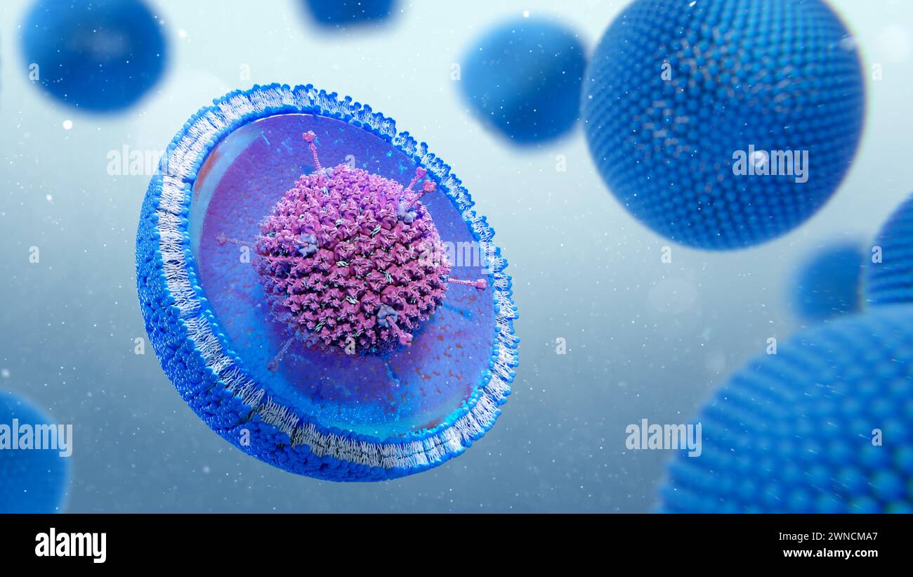 Adenovirus gene therapy liposome, illustration Stock Photo