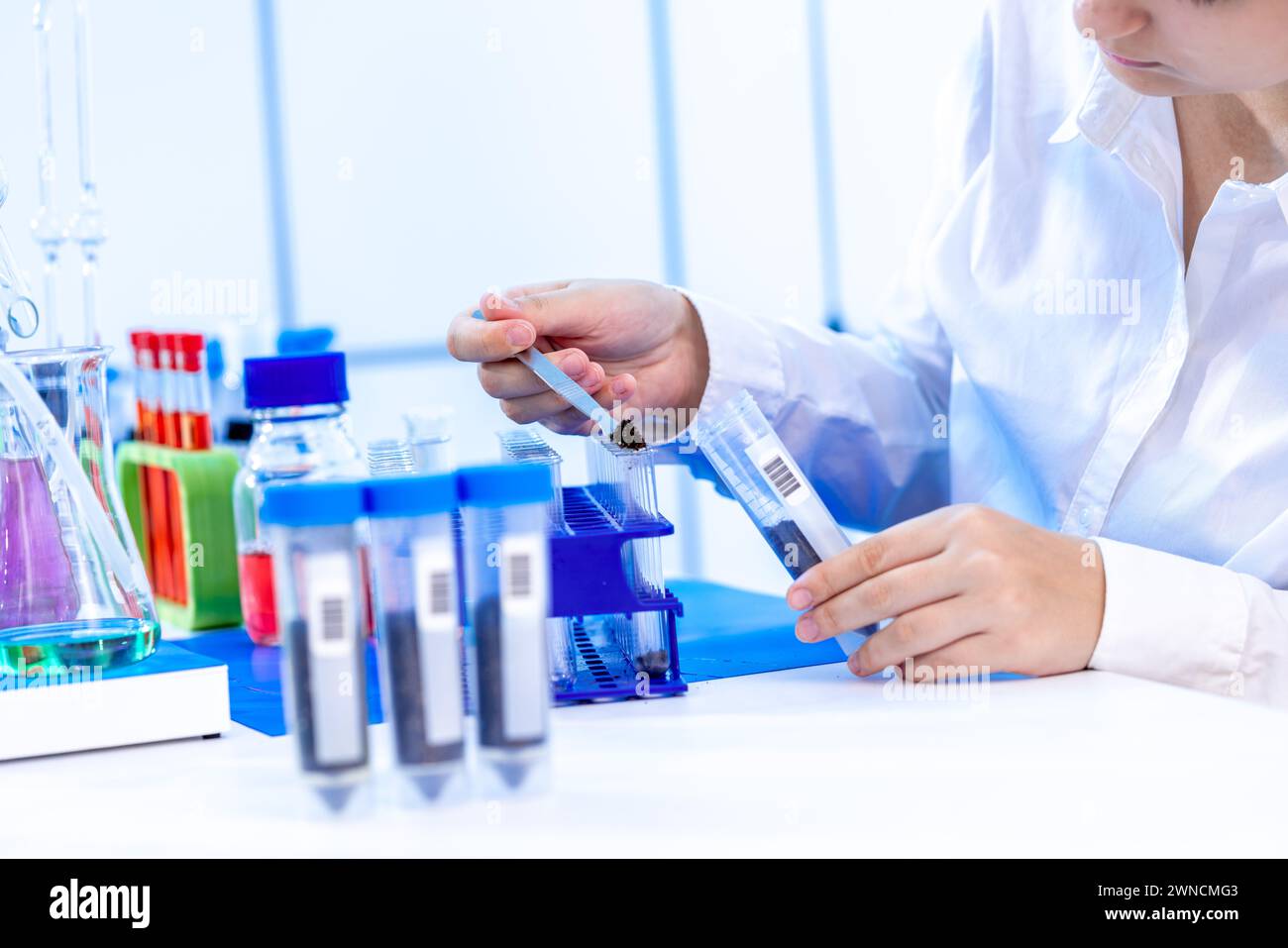 Scientist conducting soil experiment Stock Photo