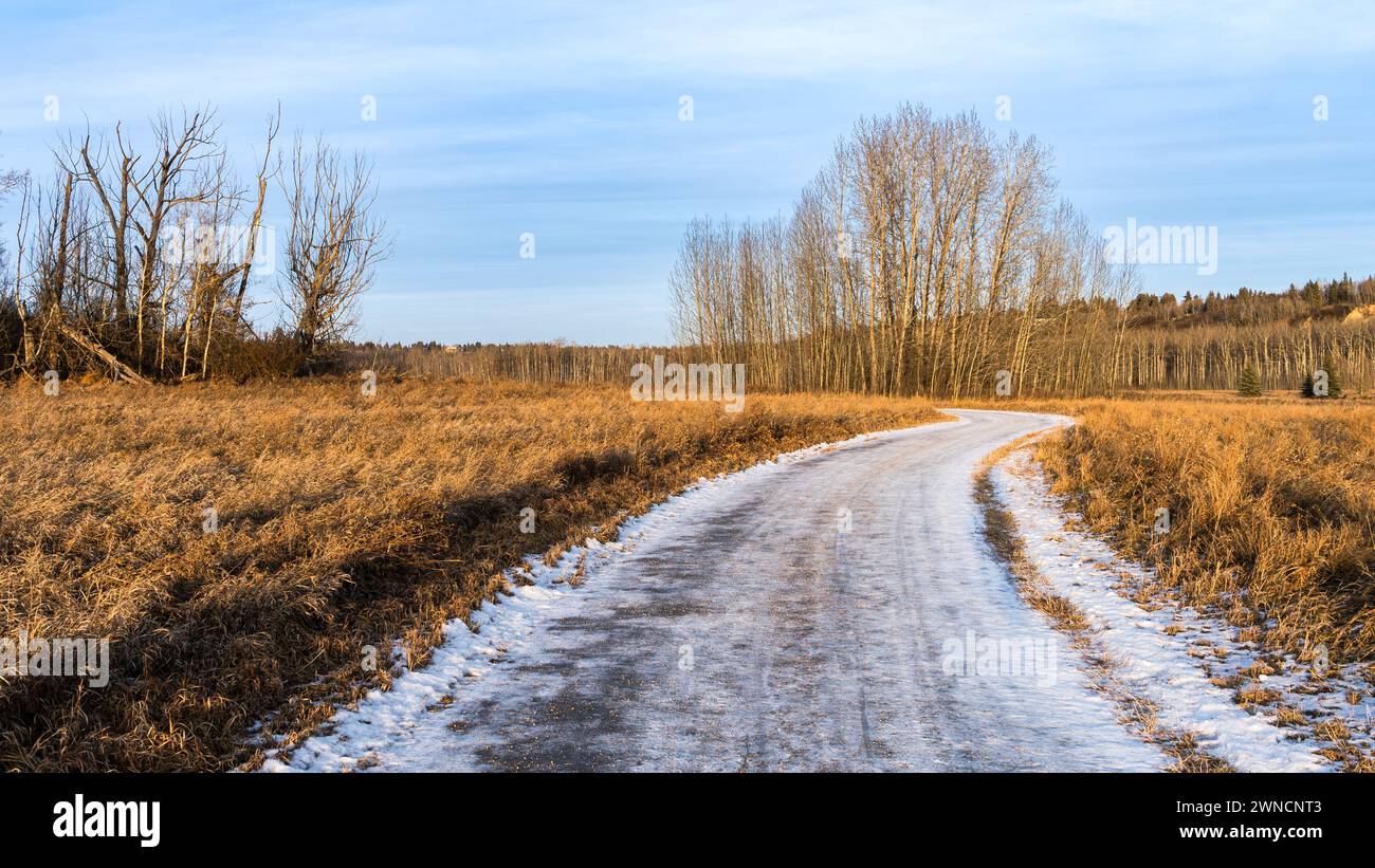 Shared-use path, mixed-use path or multi-use pathway trail  in the Oleskiw natural area park in snowless winter, Edmonton, Alberta Stock Photo