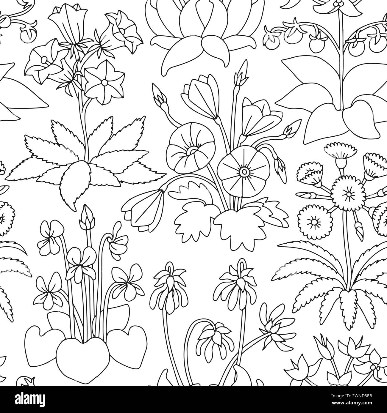 Black and white seamless pattern with canary islands flowers Stock