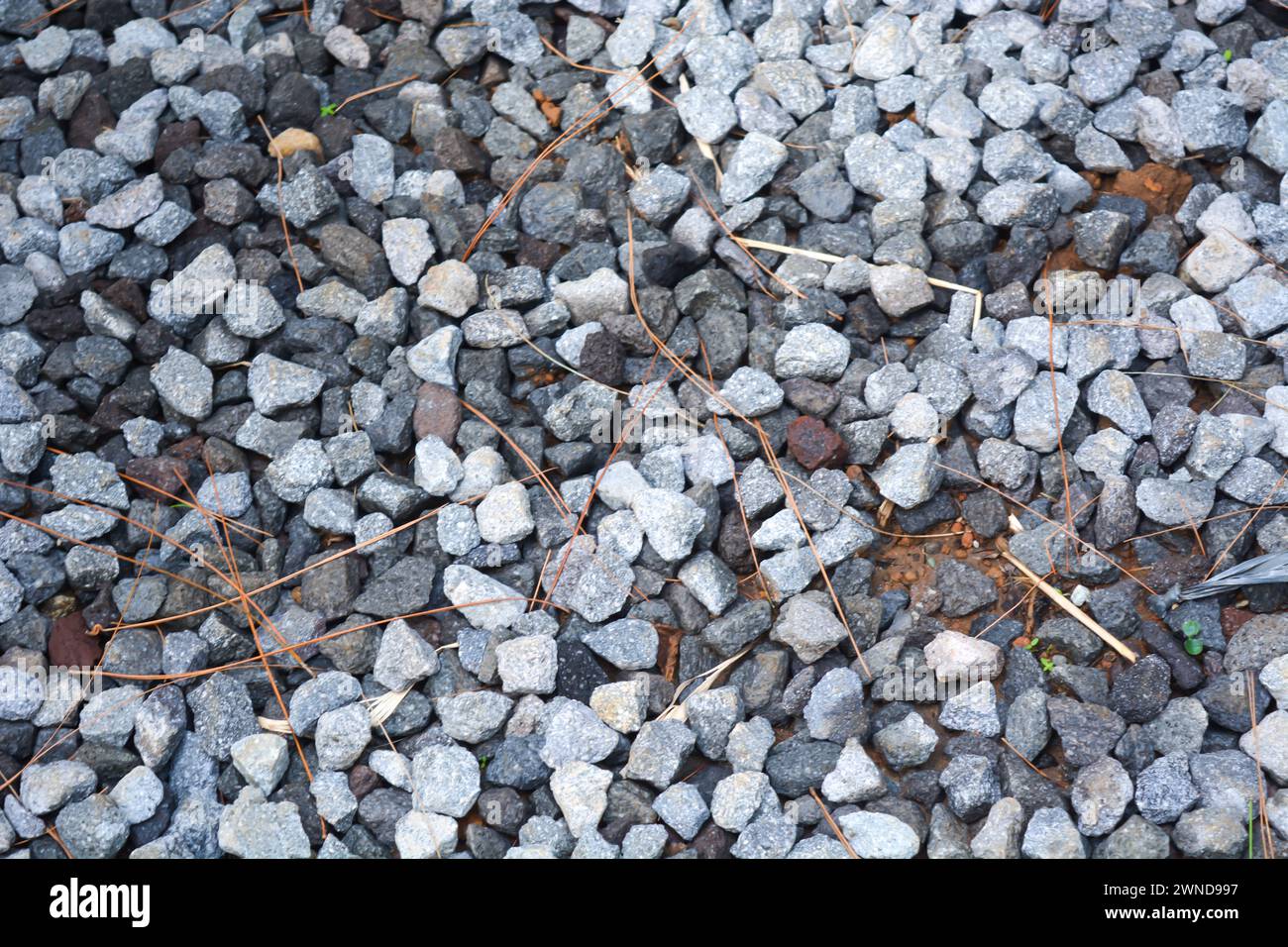 Gray gravel scattered on the ground. Stock Photo