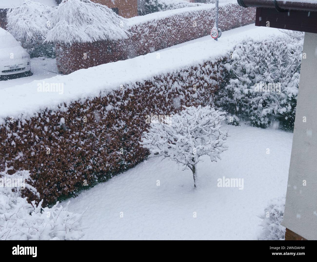 March 2nd 2024 hires stock photography and images Alamy