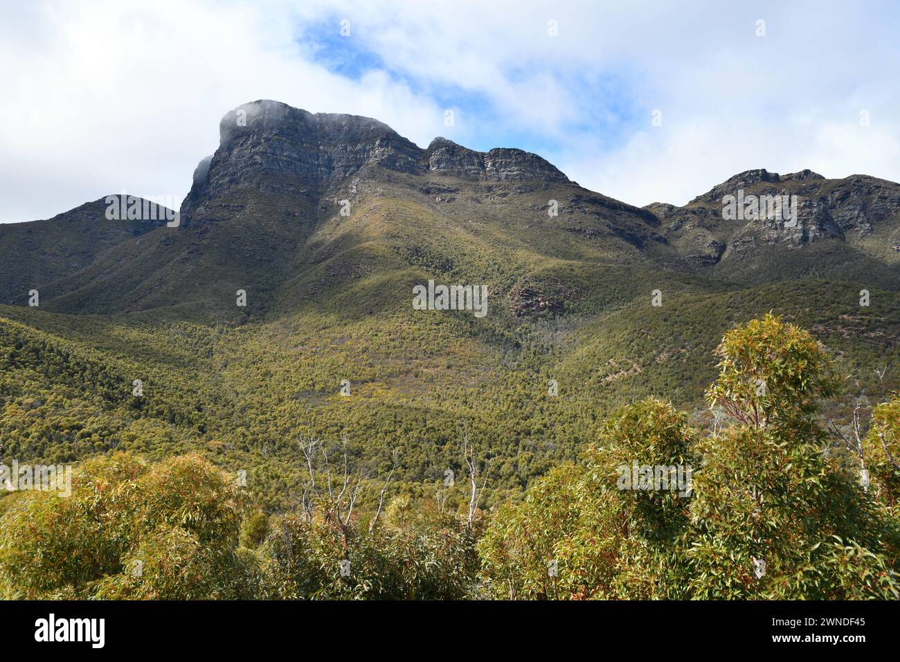 Bluff Knoll is the highest peak of the Stirling Range Stock Photo