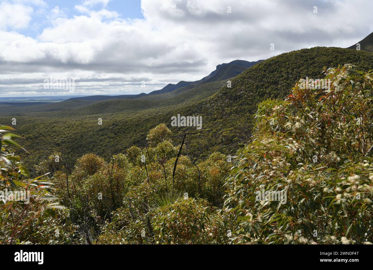 View of the Stirling Range Mountains at the start of Bluff Knoll hiking trail Stock Photo