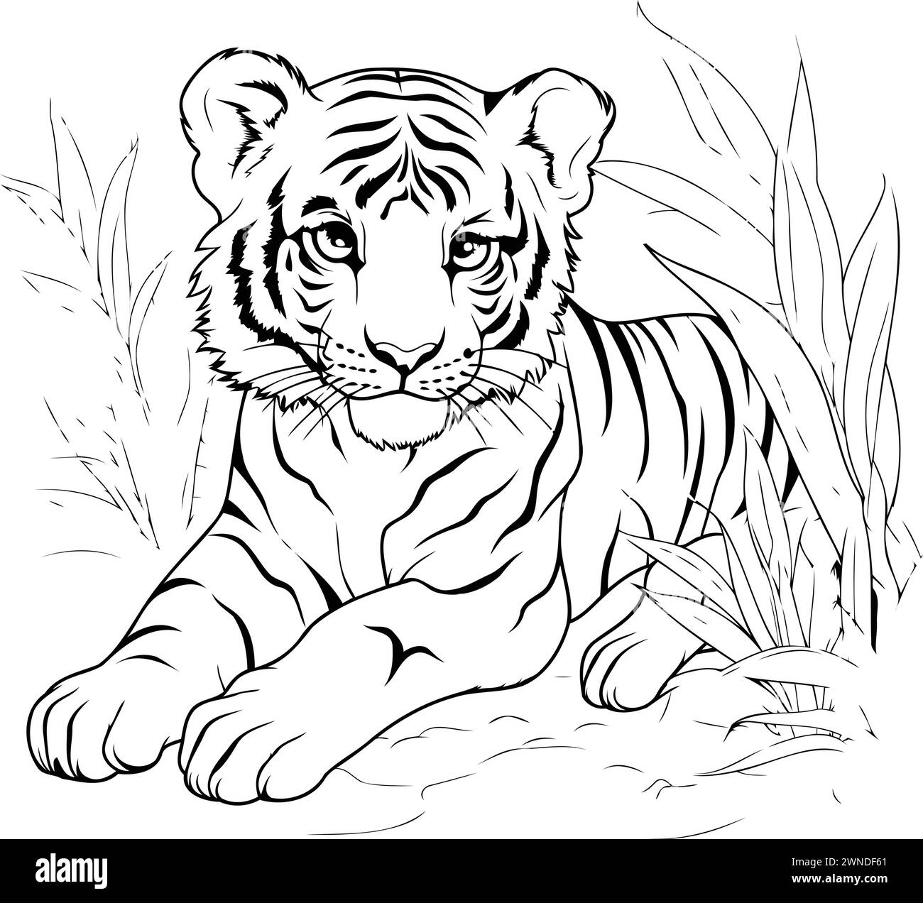 Tiger in the jungle. Black and white illustration for coloring book ...