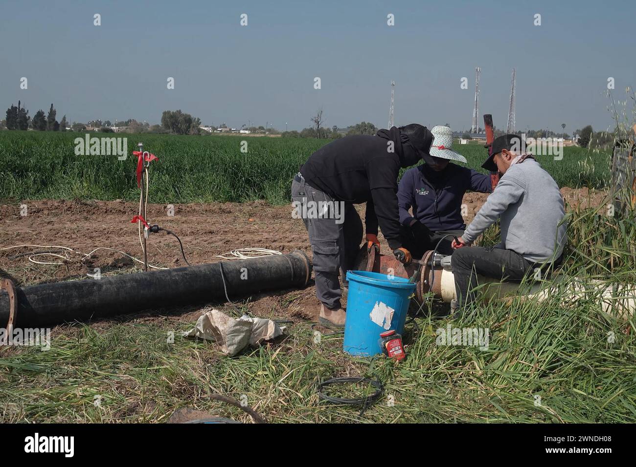 Thai workers repair a water pipeline in an agricultural field of a Kibbutz Kisufim near the Gaza border on February 28, 2024 in Kisufim, Israel. Stock Photo