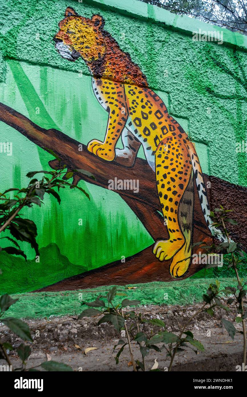 Jan.11th 2024, Uttarakhand India. Artistic Wildlife Murals: Vibrant Depictions of Animals and Birds on Rajpur Road, Dehradun, Uttarakhand, India. Smar Stock Photo