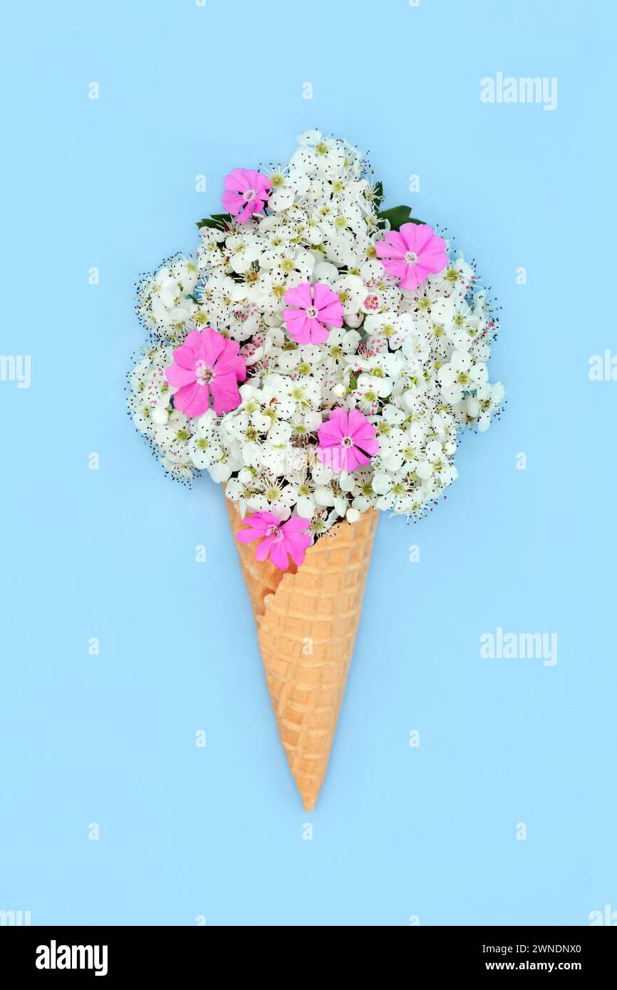 Surreal hawthorn blossom and rose campion flower ice cream cone concept