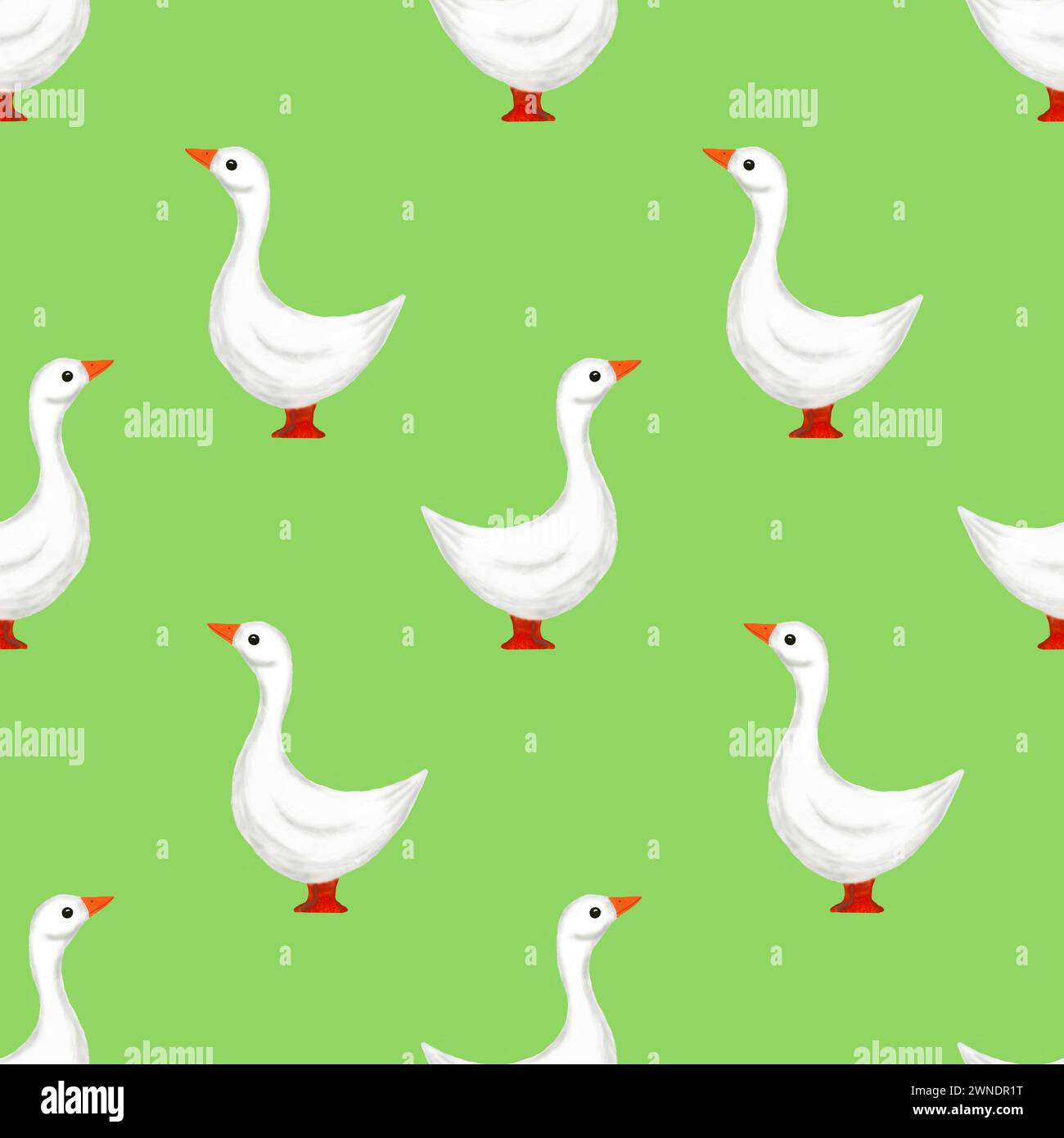 White goose. Hand painted watercolor illustration, cute farm birds, domestic pet. Pattern on a green background. Stock Photo