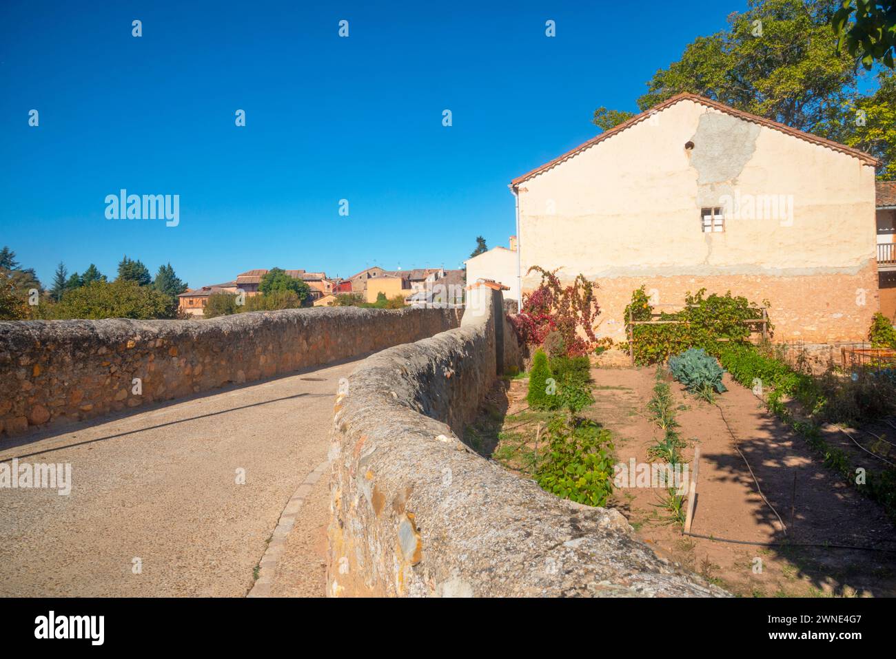 Street and vegetable garden. Ayllon, Segovia province, Castilla Leon, Spain. Stock Photo