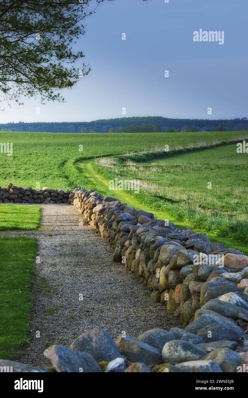 Landscape, field and fence with rock for agriculture in nature with ...