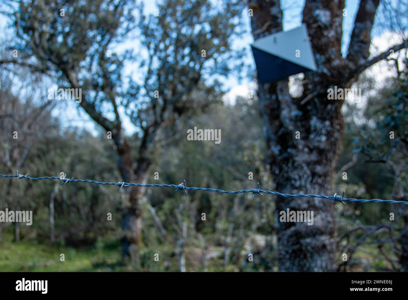 'Private hunting reserve' sign on a country property where it is delimited by metal fences Stock Photo