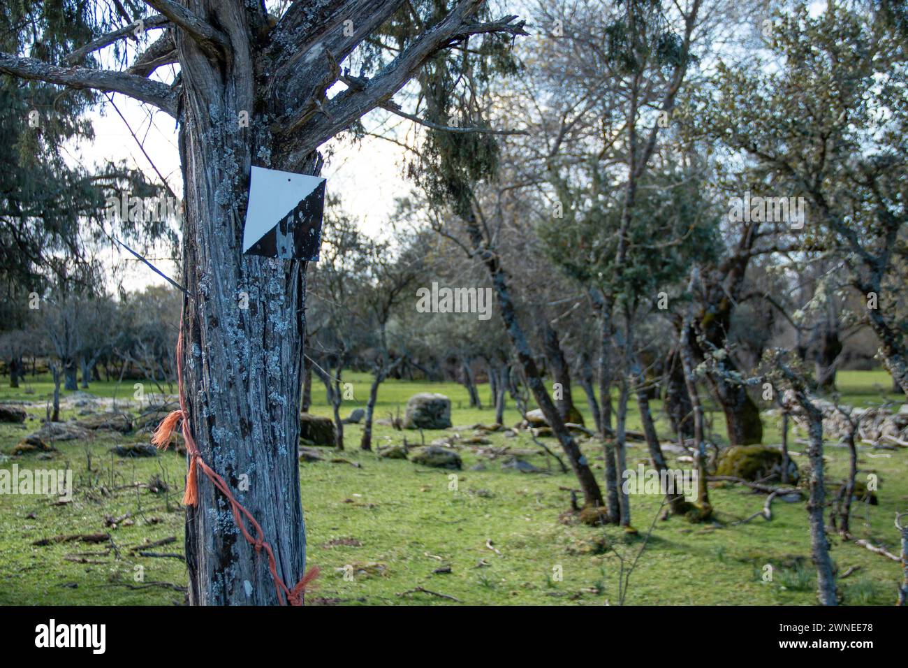 'Private hunting reserve' sign on a country property where it is delimited by metal fences Stock Photo