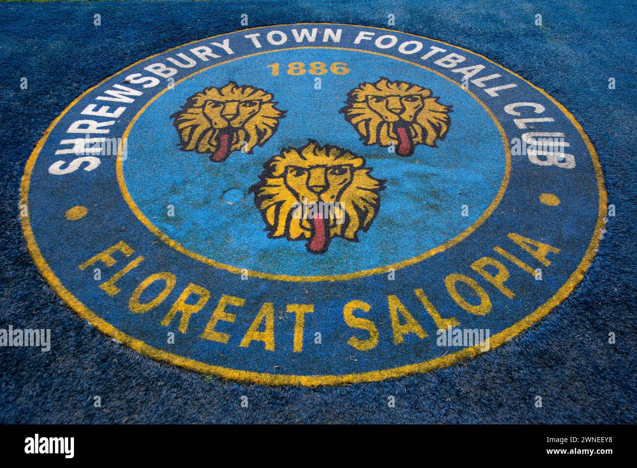 Shrewsbury Town logo ahead of the Sky Bet League 1 match Shrewsbury