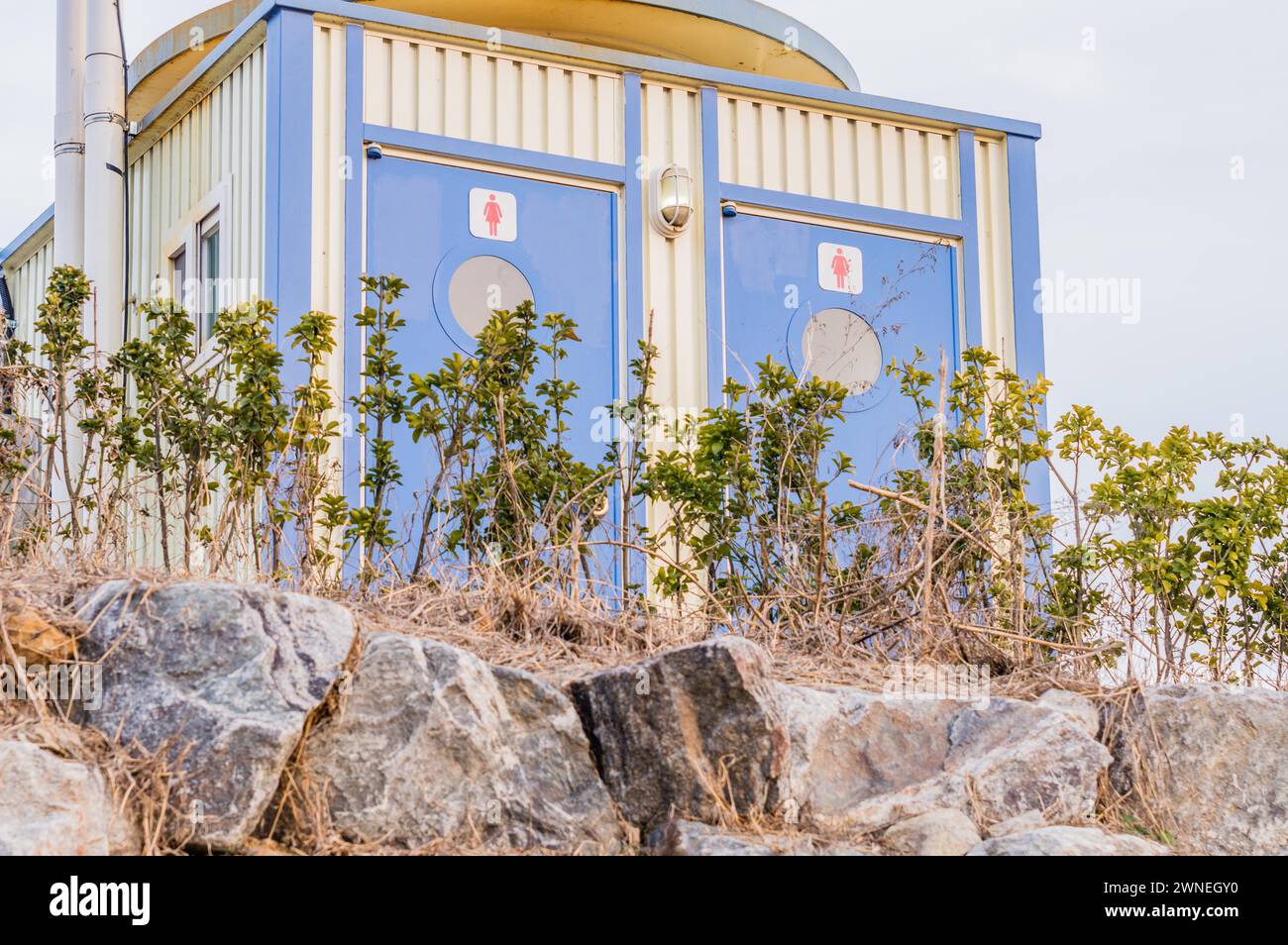 Public toilet for women with two doors sitting on a small hill with large stones and plants in the foreground in South Korea Stock Photo