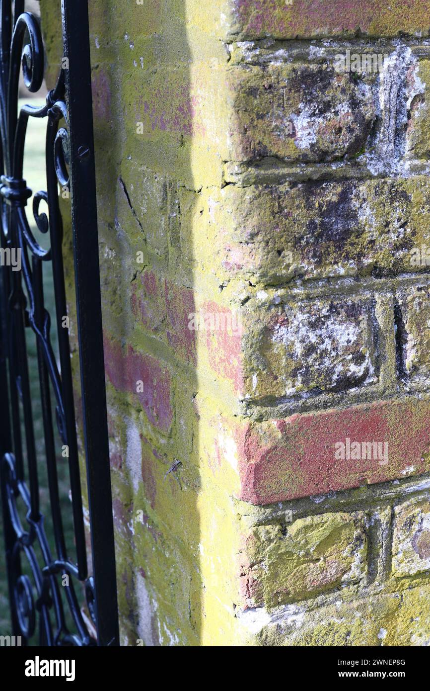 Multi-Colorful Mold on Old Brick Estate Wall Stock Photo