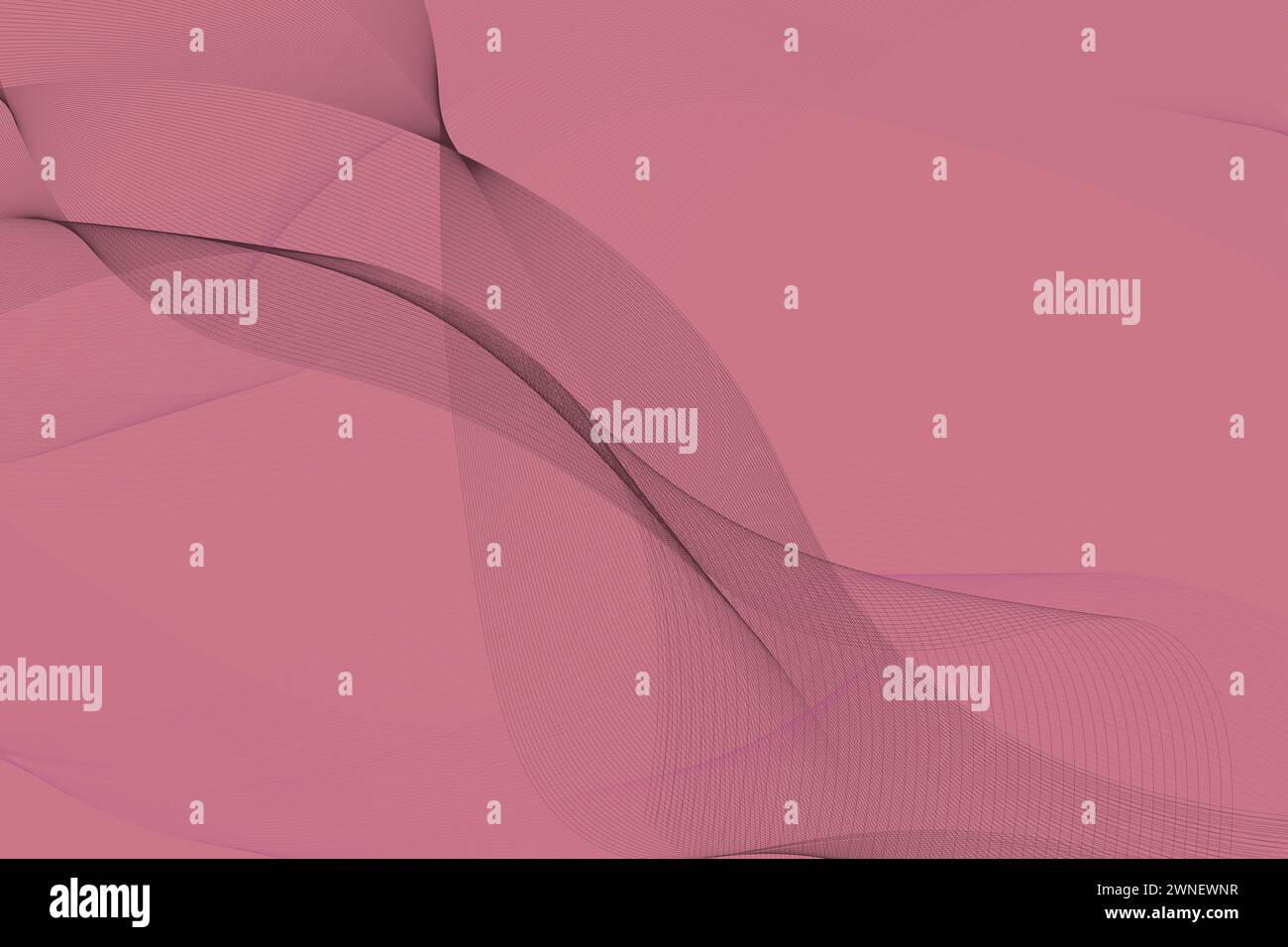 Futuristic wave background. Abstract dark purple lines on pink ...
