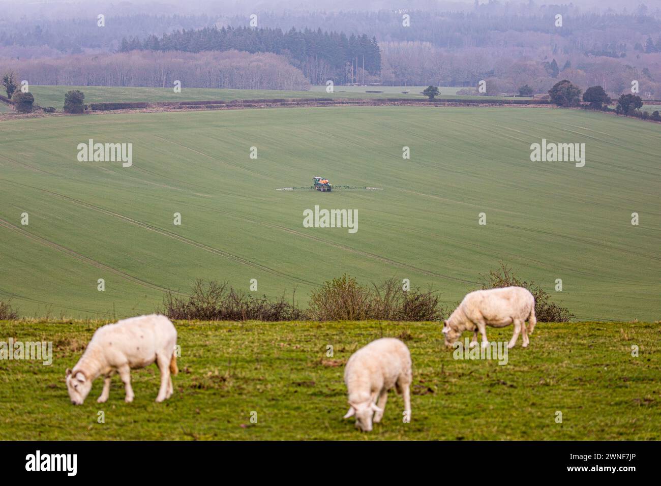 Tractor crop spraying in a wiltshire field landscape, uk farming Stock Photo