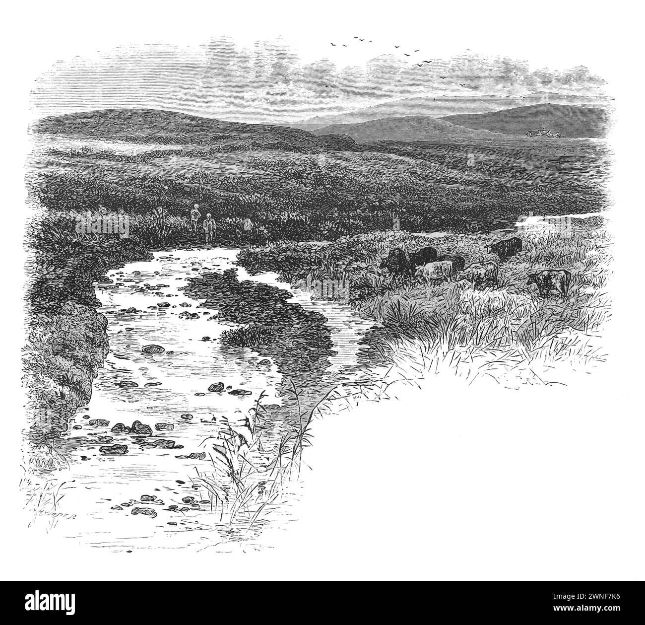 The River Plym from Cadover Bridge, Dartomoor; 19th century; Black and white illustration from 'Our Own Country' a Descriptive, Historical and Pictorial guide to the UK published in late 1880s by Cassell, Petter, Galpin & Co. Historic pictures of Briatin. Stock Photo